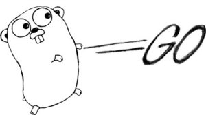 Google Go